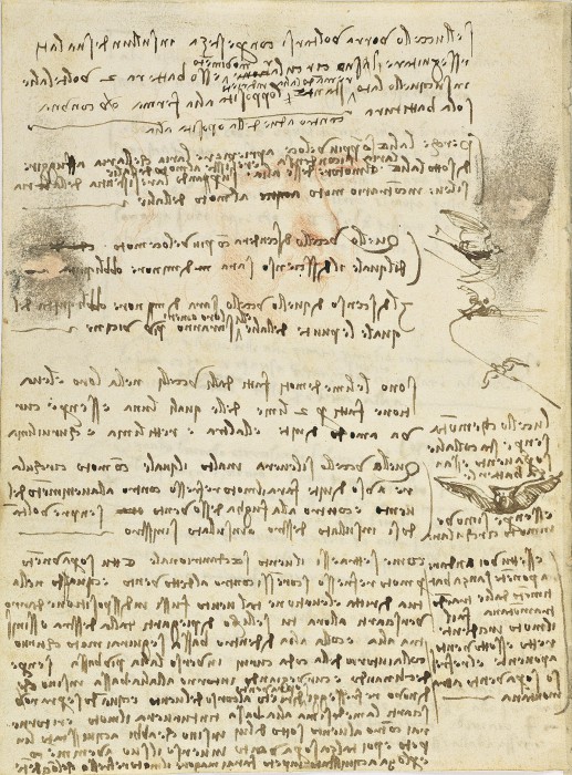 Leonardo da Vinci. Codice sul volo degli uccelli. Biblioteca reale di Torino