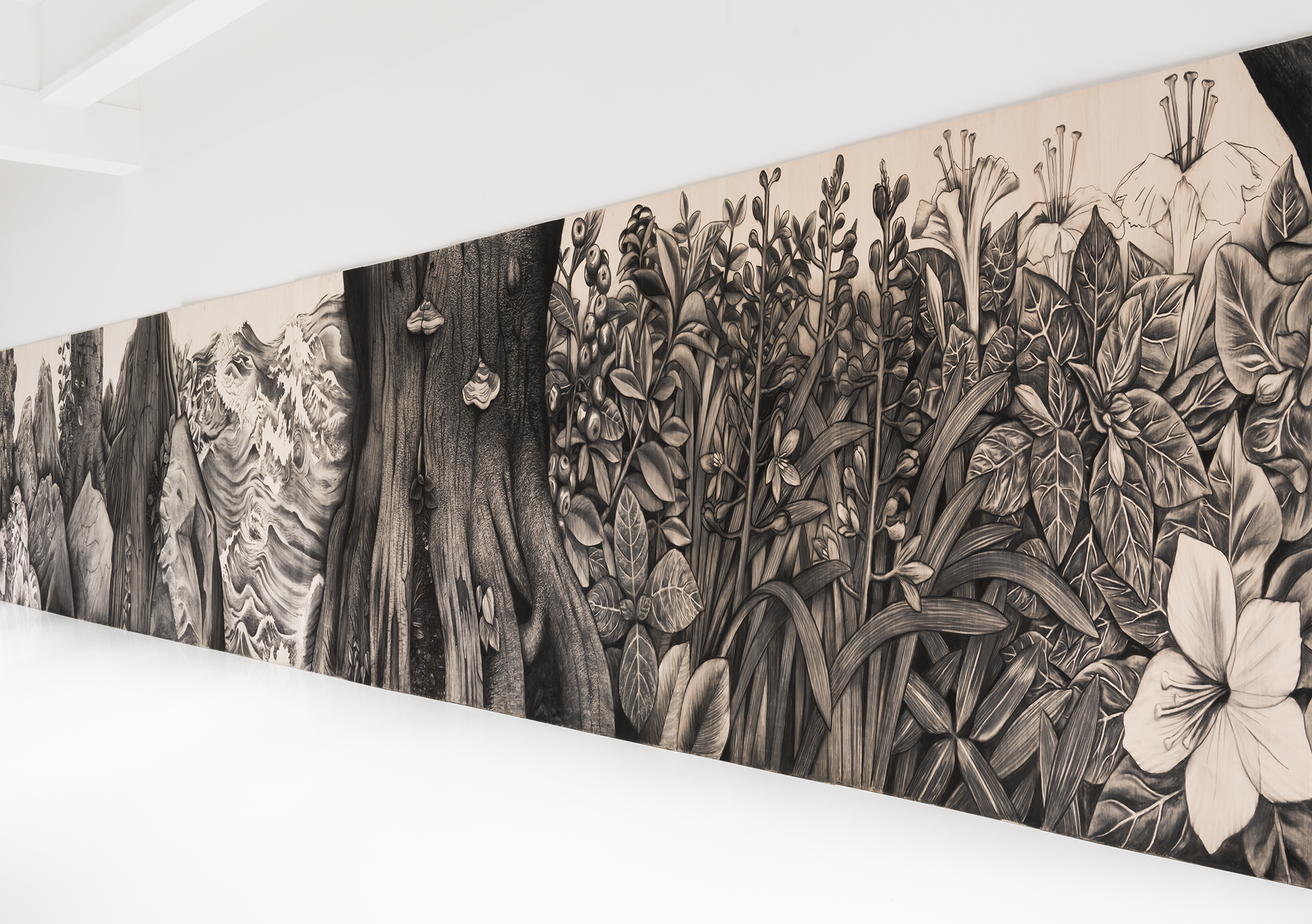 アスファルトに確かに息づく森達・佐藤直樹個展「秘境の東京、そこで生えている」【今週のおすすめアート】