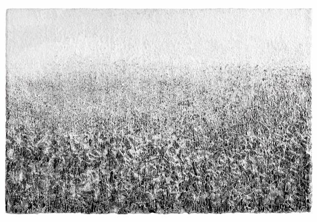 韓紙と炭で描く世界　李鎮雨「森の奥で」  【今週のおすすめアート】