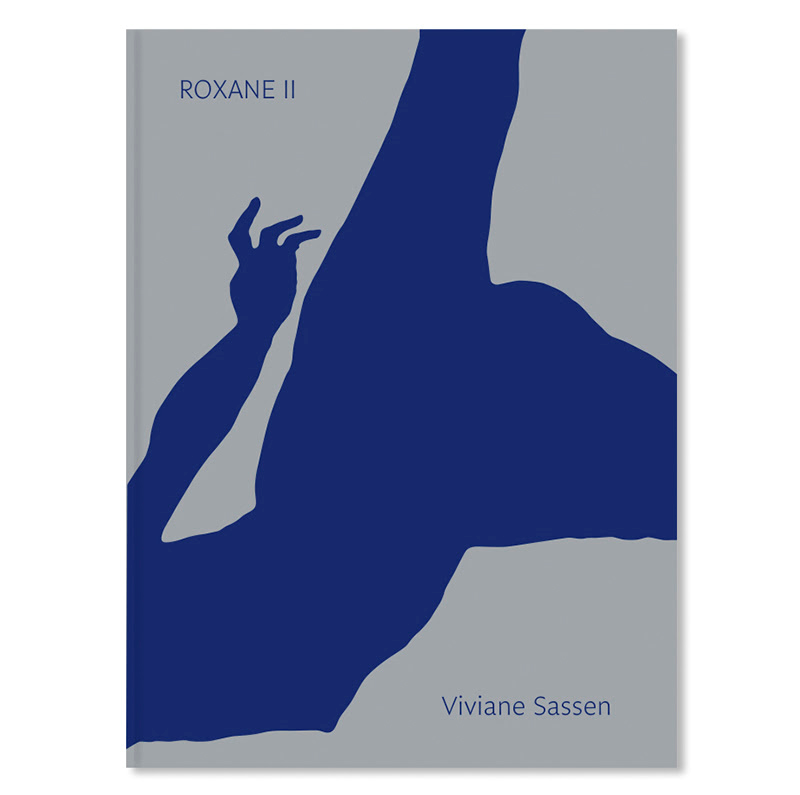 ～蜜月の傷跡～ヴィヴィアン・サッセン（Viviane Sassen）写真集【今週のおすすめアート】