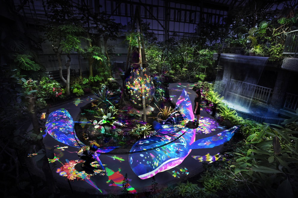 夜の植物館にデジタルの生き物が出現　「チームラボ 宇部市ときわ公園 2017 – 世界を旅する植物に