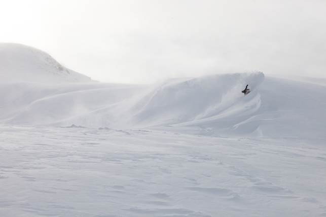 白銀の世界を体感！ 遠藤励写真展 INNER FOCUS / Art of snow players