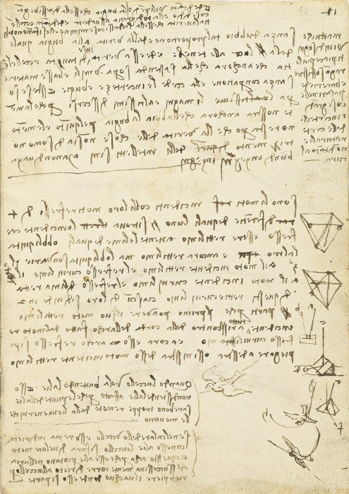 Leonardo da Vinci. Codice sul volo degli uccelli. Biblioteca reale di Torino