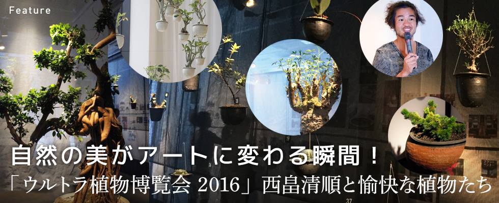 自然の美がアートに変わる瞬間！ 「ウルトラ植物博覧会 2016」西畠清順と愉快な植物たち