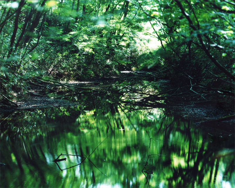 鈴木理策展覧会「Water Mirror」 【今週のおすすめアート】