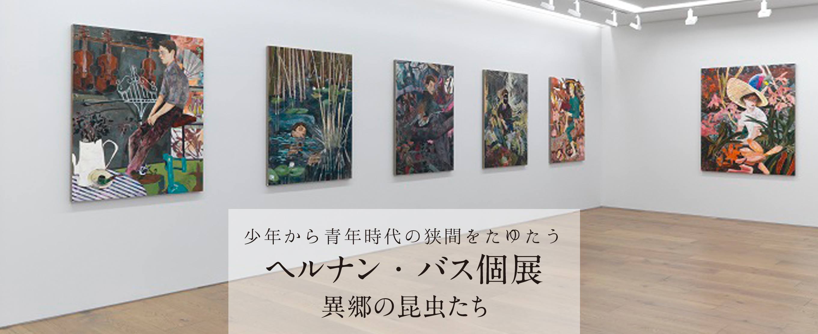 ヘルナン・バス個展『異郷の昆虫たち』