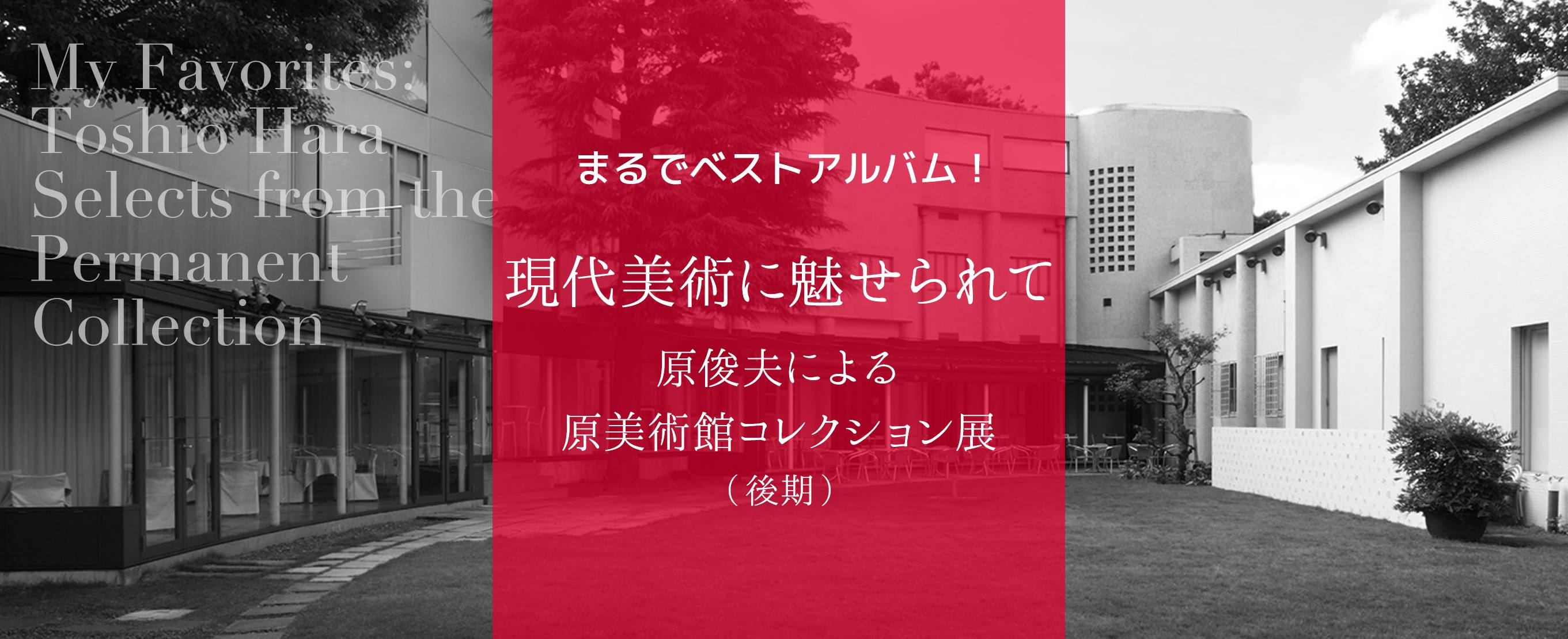 まるでベストアルバム！『現代美術に魅せられて―原俊夫による原美術館コレクション展』（後期）