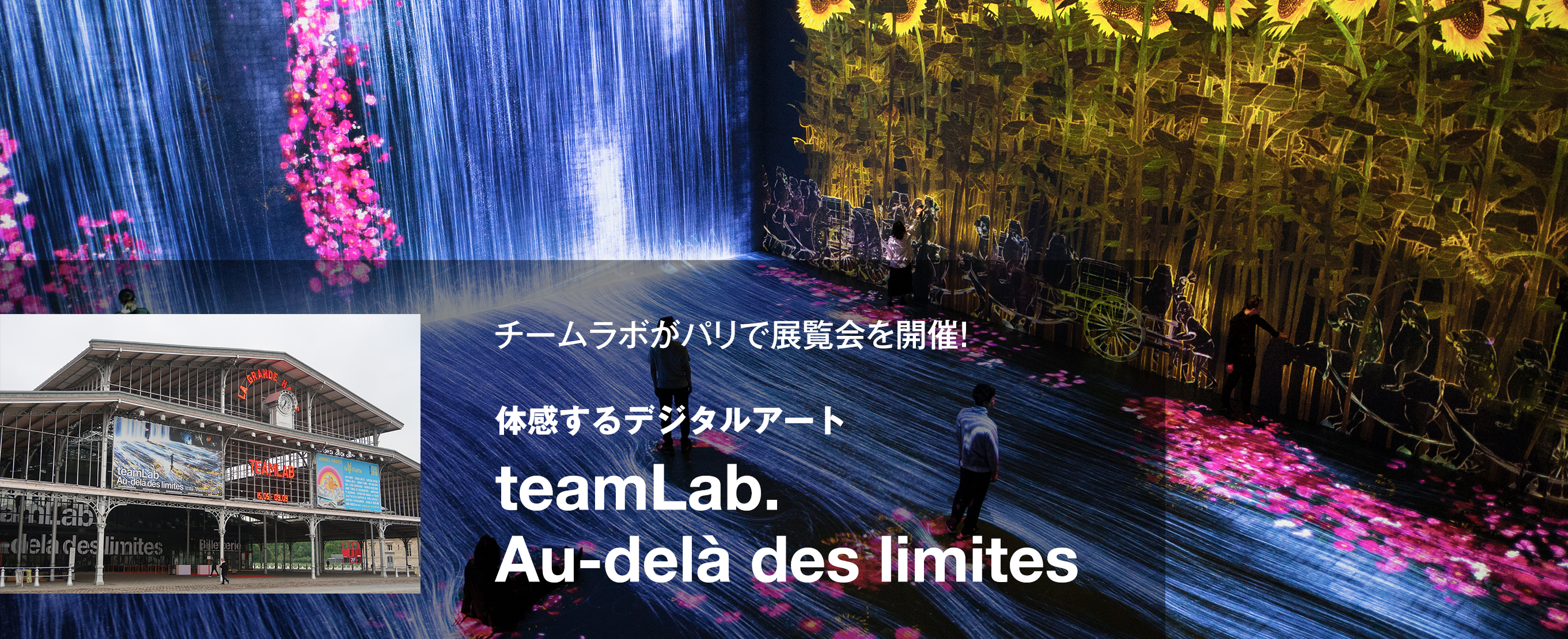 チームラボがパリで展覧会を開催！体感するデジタルアート『teamLab : Au-delà des 